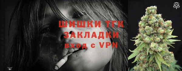 бошки Богородицк
