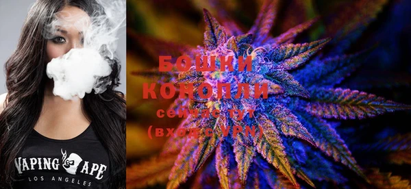 бошки Богородицк