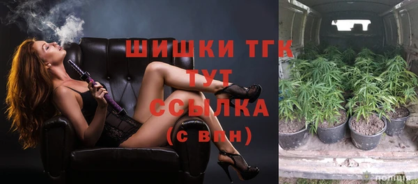бошки Богородицк