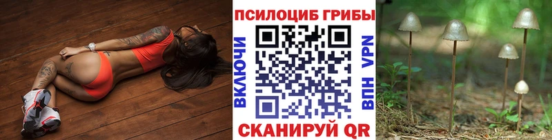 Купить закладки Богданович Псилоцибиновые грибы мухоморы